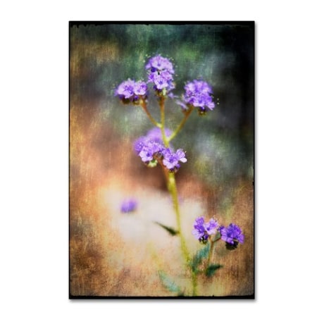 LightBoxJournal 'Desert Flower 2' Canvas Art,22x32